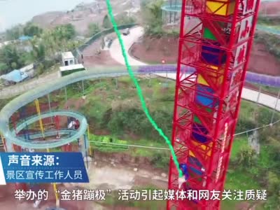 绑猪蹦极景区致歉:猪没事,不再举办