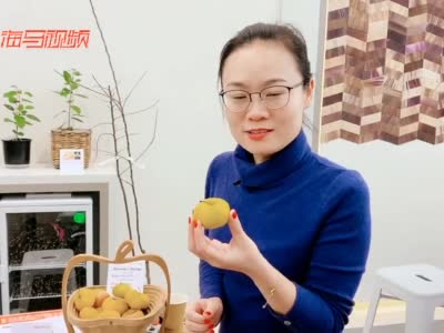 视频丨瑞士最古老的苹果来自中国天山