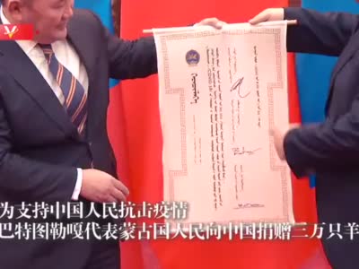 视频-蒙古国总统向中国赠送30000只羊