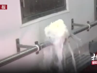 国际丨疫情下牛奶滞销!奶农把牛奶哗哗哗倒进下水道