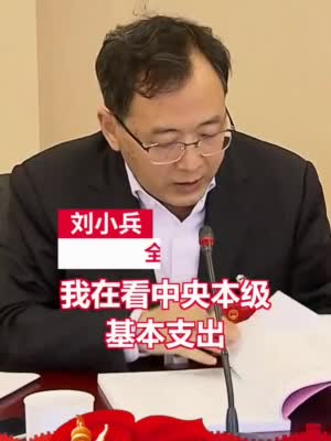 刘小兵代表是上海财经大学公共经济与管理学院院长,审预算是他的