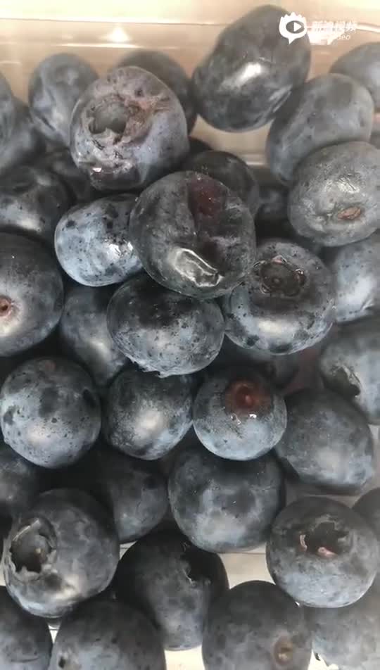 每日优鲜蓝莓水果腐烂长霉长蛆