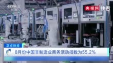视频丨8月份中国制造业采购经理指数为51.0%