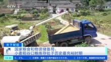 重磅官宣！粮食库存创了一个历史之最 价格怎么走？