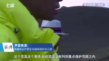 西藏林业局回应“岳云鹏等被指摘珍稀植物”：当地跟进处理