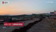 硫磺熏制八角调查：二氧化硫超标16倍 销往饭店食堂
