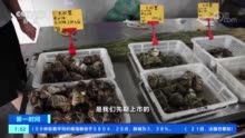 视频丨[第一时间]江苏苏州：新上大闸蟹未涨价 网售蟹券价格下调