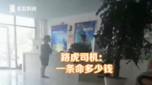 讲一个司机撞人口鬼故事的_张震讲鬼故事(2)