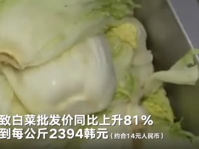 韩国菜价疯涨泡菜厂改产腌萝卜 汉堡里西红柿也没了