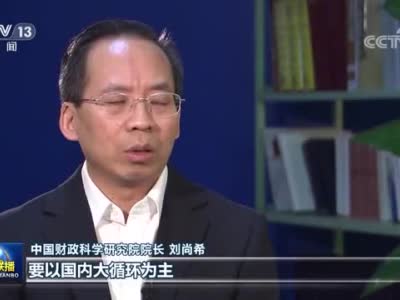 权威访谈丨刘尚希：保护市场主体 加快形成新发展格局