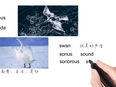 英语单词背后的文化 Swan Song有关天鹅之绝唱 轻松学英语 英语 新浪新闻