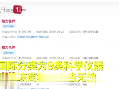 格力起诉国家知识产权局 重新赢回格力色界商标