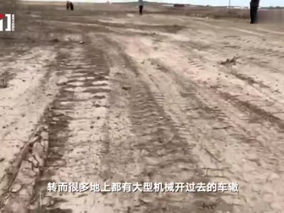 兰州新区村民30亩苗木被推平 中川园区农业发展公司致歉并赔偿