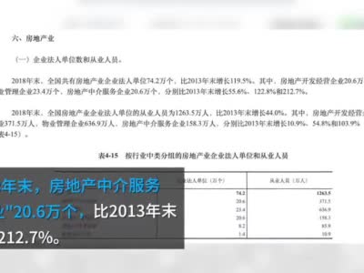 中国买房中介费全世界最便宜 报告：近一半房地产经纪人已有房