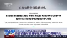 白宫被指对疫情恶化知情但仍隐瞒淡化