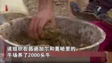 为迎接传统节日 印度一公益组织用牛粪制作神像