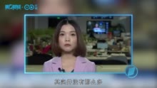 喜大普奔的反弹行情中 为何你的标的甚至跑不赢ETF？