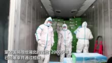 视频|直击蒙古国捐赠羊装车：屠宰冷冻加工包装全程高标准