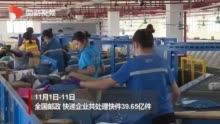 视频|双十一期间 全国邮政快递企业共处理快件39.65亿件