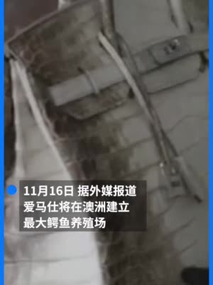爱马仕将建最大鳄鱼养殖场 约5万只鳄鱼将用于产品供应