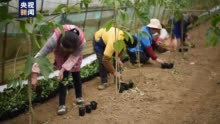 农业农村部：全国农村实用人才约2254万人