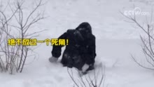 东北大妈用雪清洗貂皮大衣 网友：这样洗好省钱啊