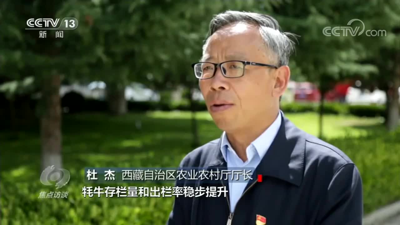 杜杰厅长图片