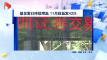 视频|基金发行持续降温:11月新发42只 为今年来最低值
