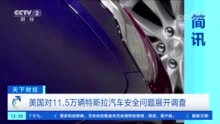 又是特斯拉！这些车型有故障 11.5万辆被调查