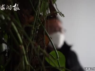消费者称上海宜家餐厅咖啡过期 宜家：已整改