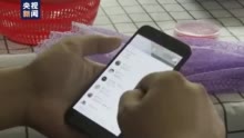 拿不到的报酬：轻信茶包加工轻松过万？反遭倒打一耙“被违约”
