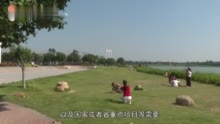 《广东省湿地保护条例》明年起实施 增设红树林保护专章