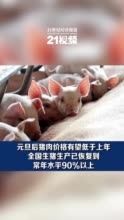 元旦后猪肉价格有望低于上年 生猪生产已恢复到常年水平90%以上