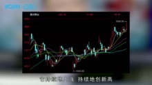 酿酒板块百花齐放：不止白酒 这些龙头同样值得关注