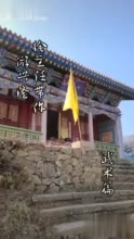 跟网红主播拼流量？县长们这样让县城“出圈”