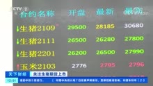 酝酿20年今天终挂牌！猪期货到底是个啥？
