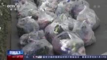 石家庄实施闭环管控政策后：多方联动 生活物资送到家