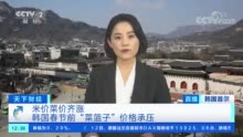 米价涨、菜价涨、蛋价涨 韩国“菜篮子”价格承压