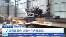 废钢突然火了：仅一年内涨价三成 发生了啥？