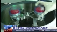 湖北向河北捐赠抗疫物资