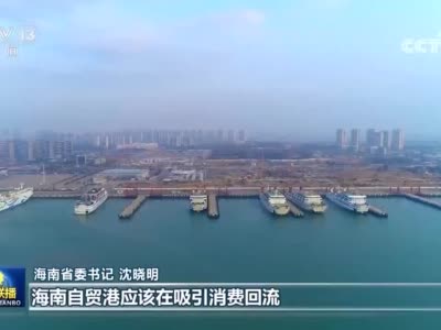 专访沈晓明：希望每一个企业在海南自贸港都能赚到钱