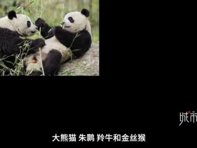 陕西人口最少县城坐拥高铁站 每年运送25万人一半是游客