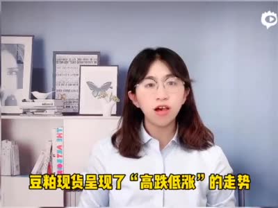 光大期货热点追踪：豆粕止跌回升 看多后市走势