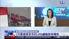 或可逃逸人体免疫力！变异新冠病毒可能已在巴西境内传播开来