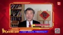 视频|李稻葵：2021年是中国经济的大年