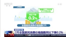 2月份CPI同比下降0.2% 降幅有所收窄