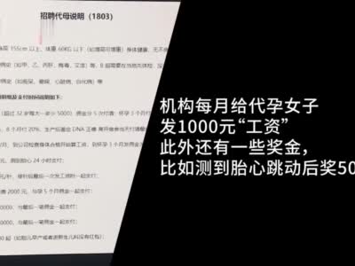 黑中介游说代孕生子可得22万 废弃车库里无麻醉刺穿代孕妈妈子宫