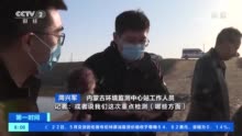 内蒙古黄河大堤死猪已做无害化处理 正在追踪溯源