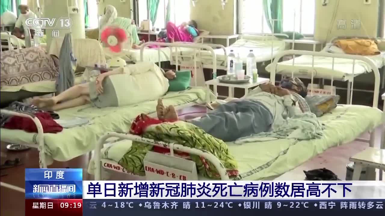 印度单日新增死亡病例图片