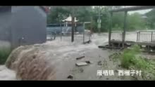 山洪暴发,北京3名男子河中抱树求生 紧急营救